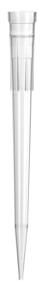 https://www.dev3.thermofisher.com/content/dam/LifeTech/Images/Brands/search/default-brand.jpg
